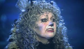 音乐剧猫内容怎么分 音乐剧猫中文版