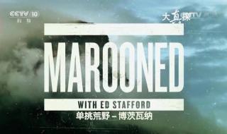 10 大真探什么时候播出 cctv10大真探