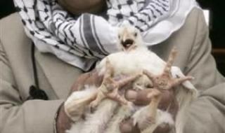 福岛核污水泄漏原因 福岛核污水泄漏原因