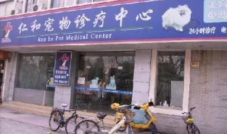 宠物拿去宠物医院咬了医生谁负责 网上宠物医院咨询