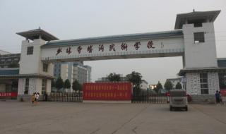 塔沟武校为什么那么多人 河南少林寺塔沟武校