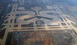 黄金鲍鱼的养殖方法和注意事项 警方调查黄金鲍事件