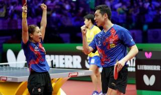 2019布达佩斯世乒赛 2019年世乒赛冠亚军