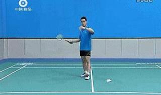 羽毛球高远球发球技巧 羽毛球正手发球和反手发球的技术动作要领有什么区别